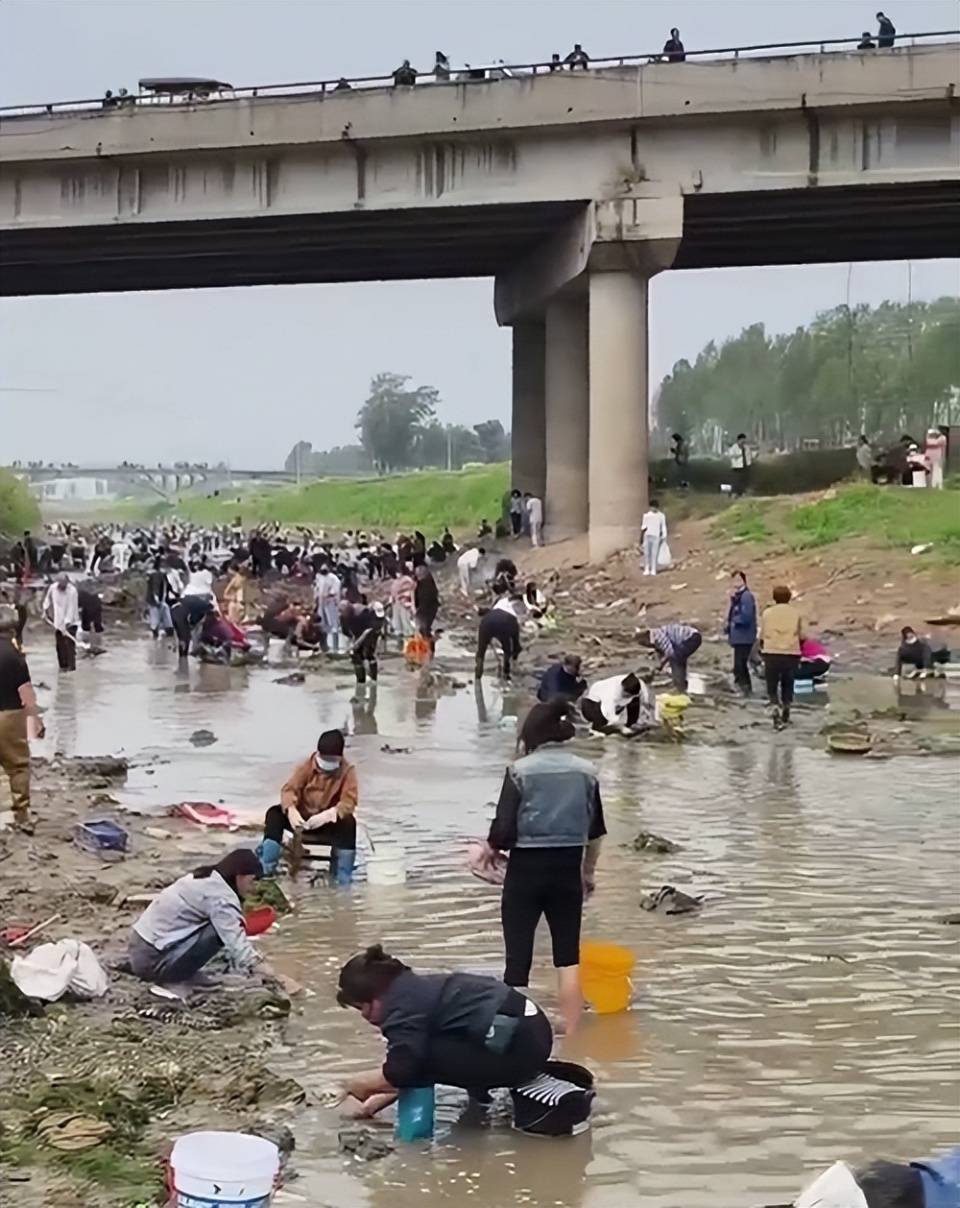 皇冠信用网APP下载_河南浚县一处河道内众人捞金？当地辟谣：捞的是花甲皇冠信用网APP下载，已劝离捕捞客