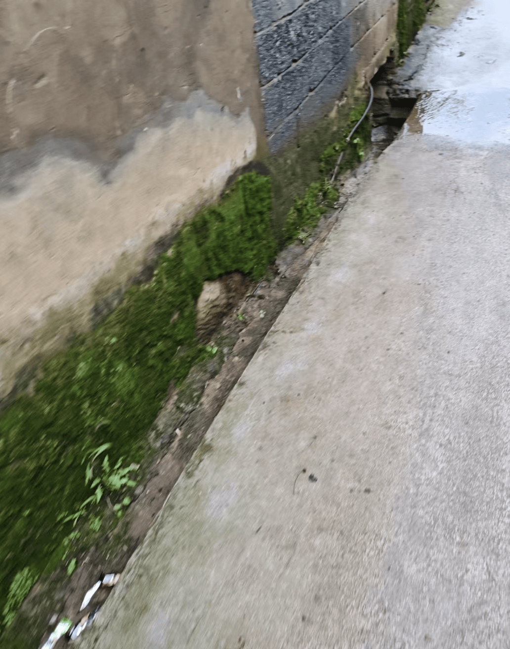 五大联赛什么时候回归 _云南曲靖一女孩被同班男生送回家途中杀害五大联赛什么时候回归 ，当地警方介入，家属发声