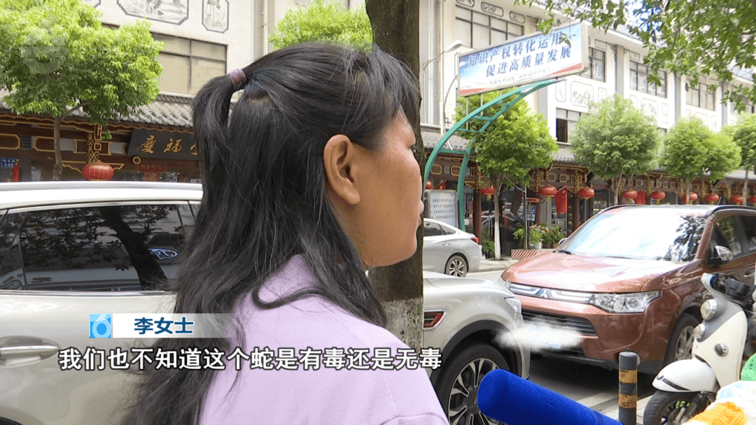 皇冠信用网结算日是哪天
_太吓人!云南女子网购塑料凳皇冠信用网结算日是哪天
,拆开竟发现一条蛇被胶带粘在椅子上!还在动