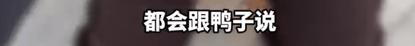 本菲卡 vs 勒洪库森
_养了四年的宠物鸭被汽车碾死本菲卡 vs 勒洪库森
，老太太当街包鸭痛哭，目击者：她老伴重病，鸭子是用来祈福的