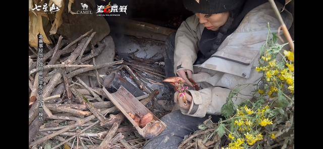 皇冠信用网APP下载
_“冷美人”退赛皇冠信用网APP下载
，错失20万奖金