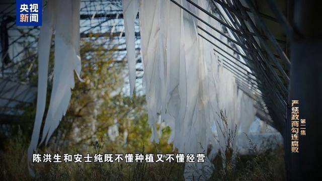 皇冠会员开户
_反腐大片|大搞亦官亦商皇冠会员开户
,陈洪生花国家的钱种万亩“贪腐林场”