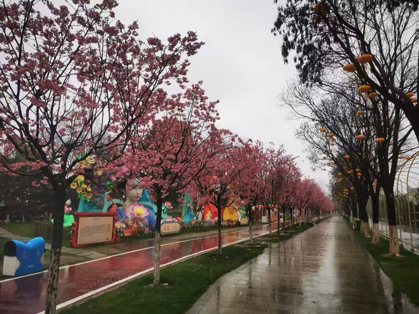 网上买球怎么买 _20℃！湖北大部雨水退场三日网上买球怎么买 ，抓紧赏花！下一轮雨已安排